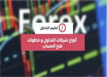 types-of-trading-companies